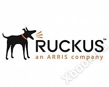 Ruckus 10G-SFPP-ER-2