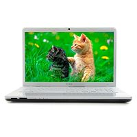 Sony VAIO VPC-EJ3M1R/W
